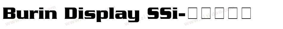 Burin Display SSi字体转换